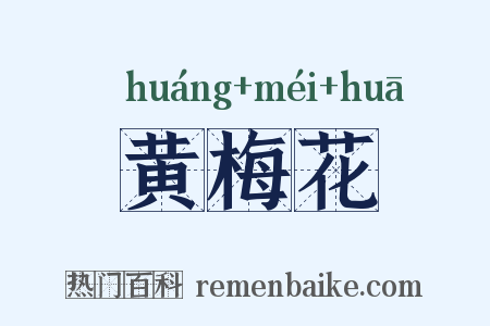 黄梅花是什么意思的图片